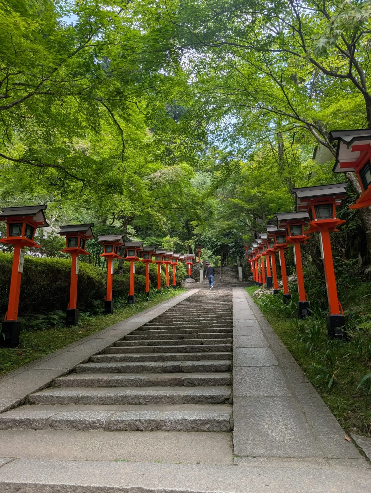 Picture from the journey in Mt. Kurama